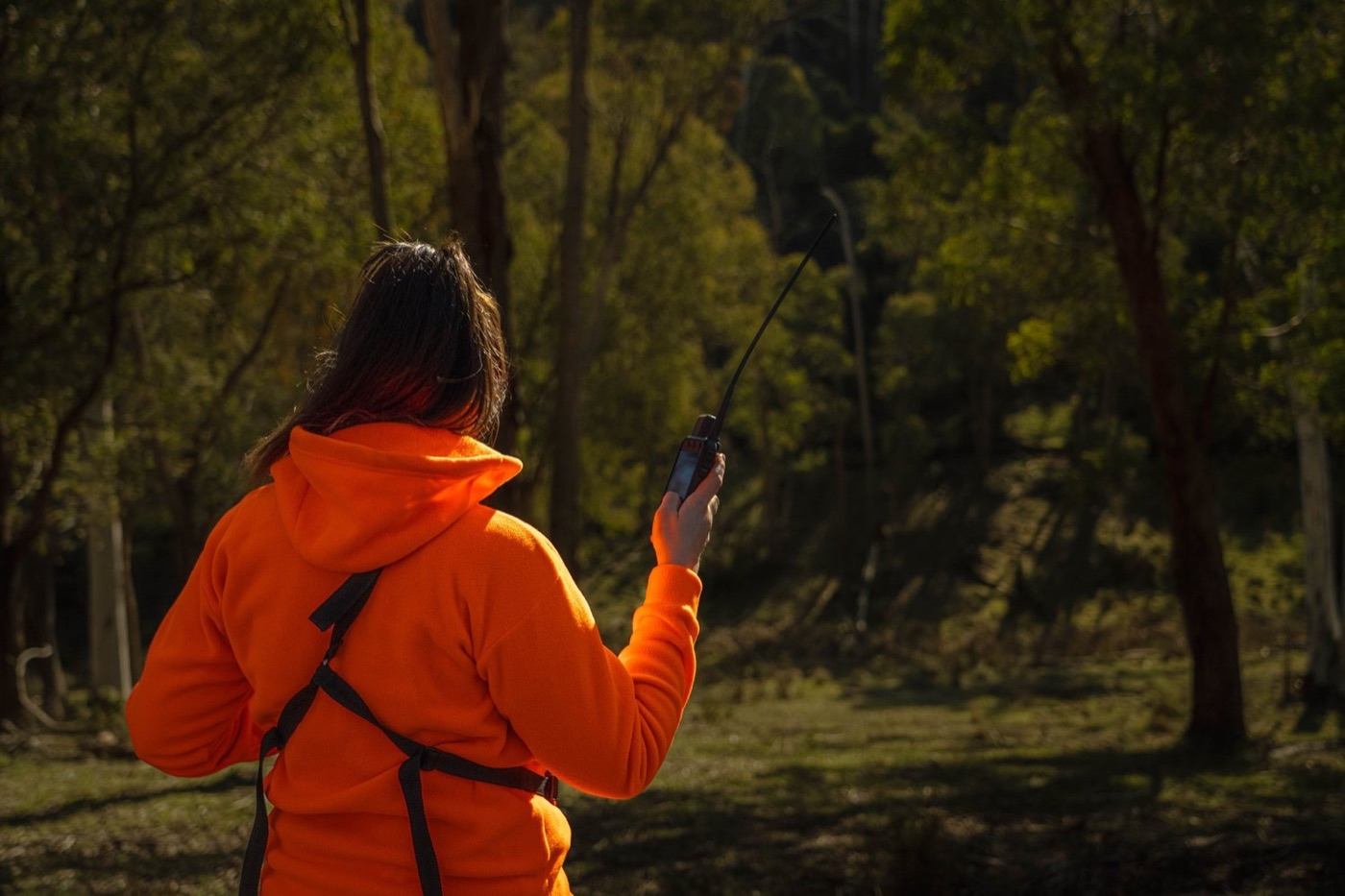 Mansfield Hunting & Fishing still 4