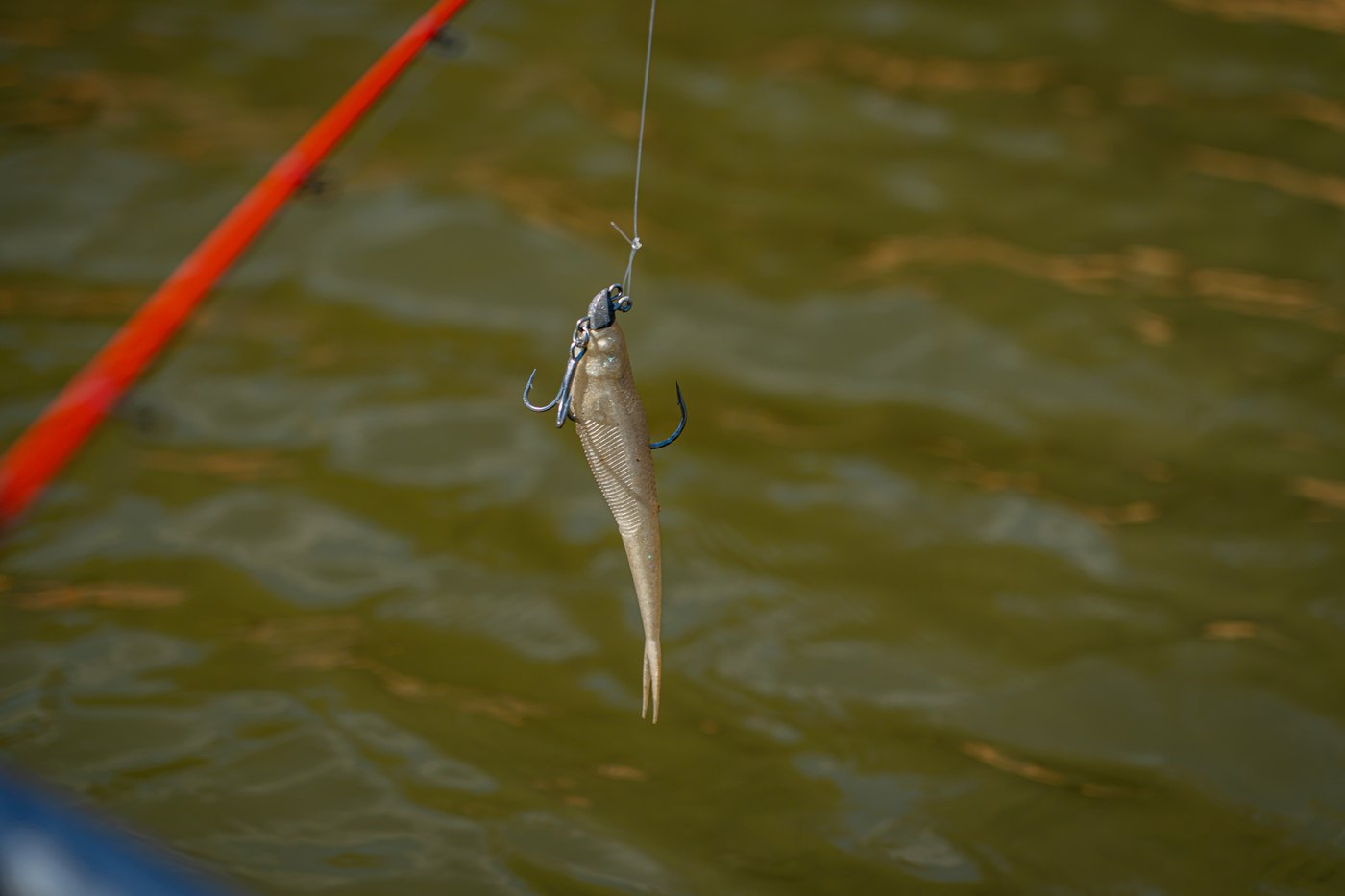Rapala Australia still 6