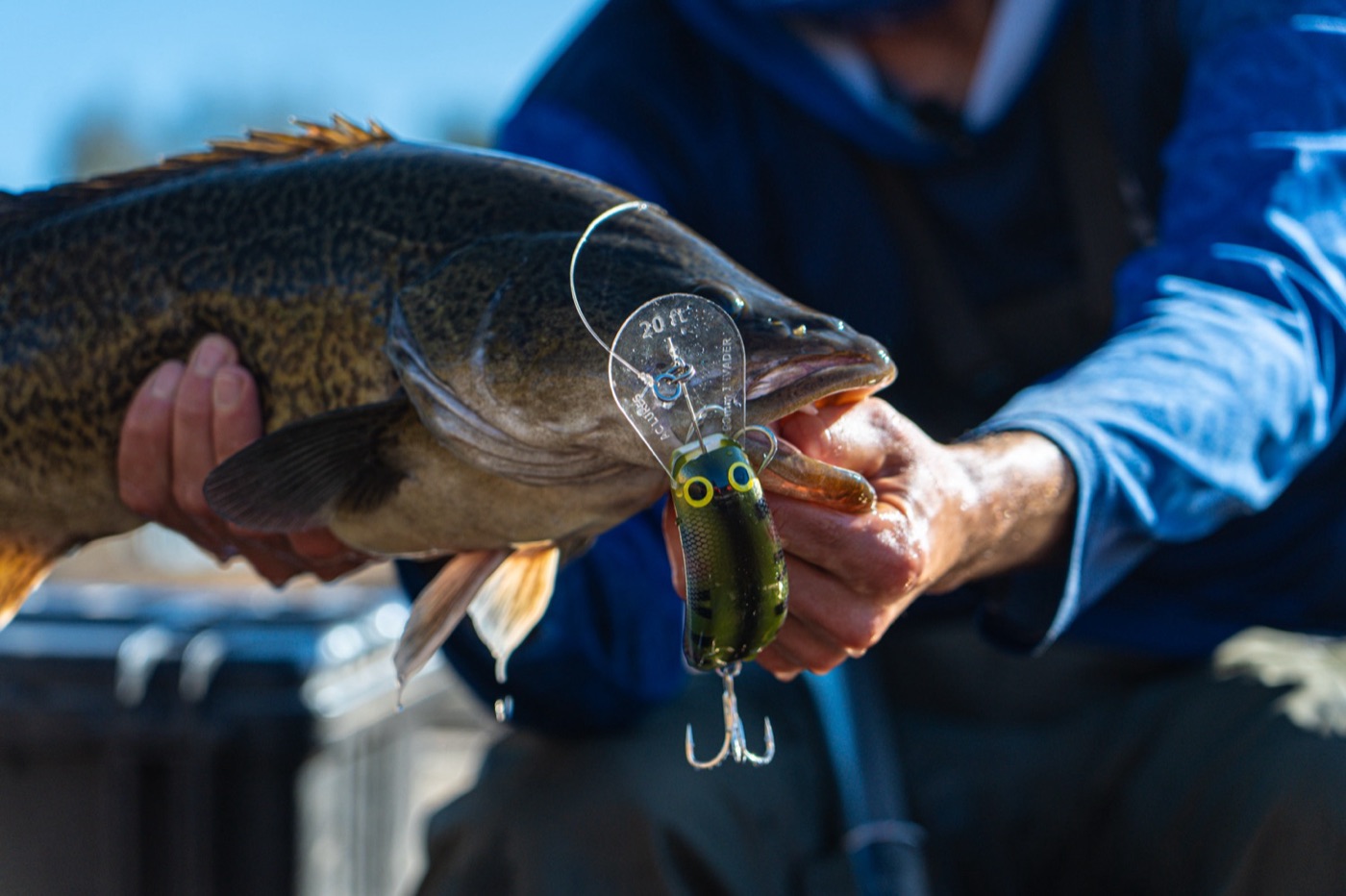 Social Fishing still 5