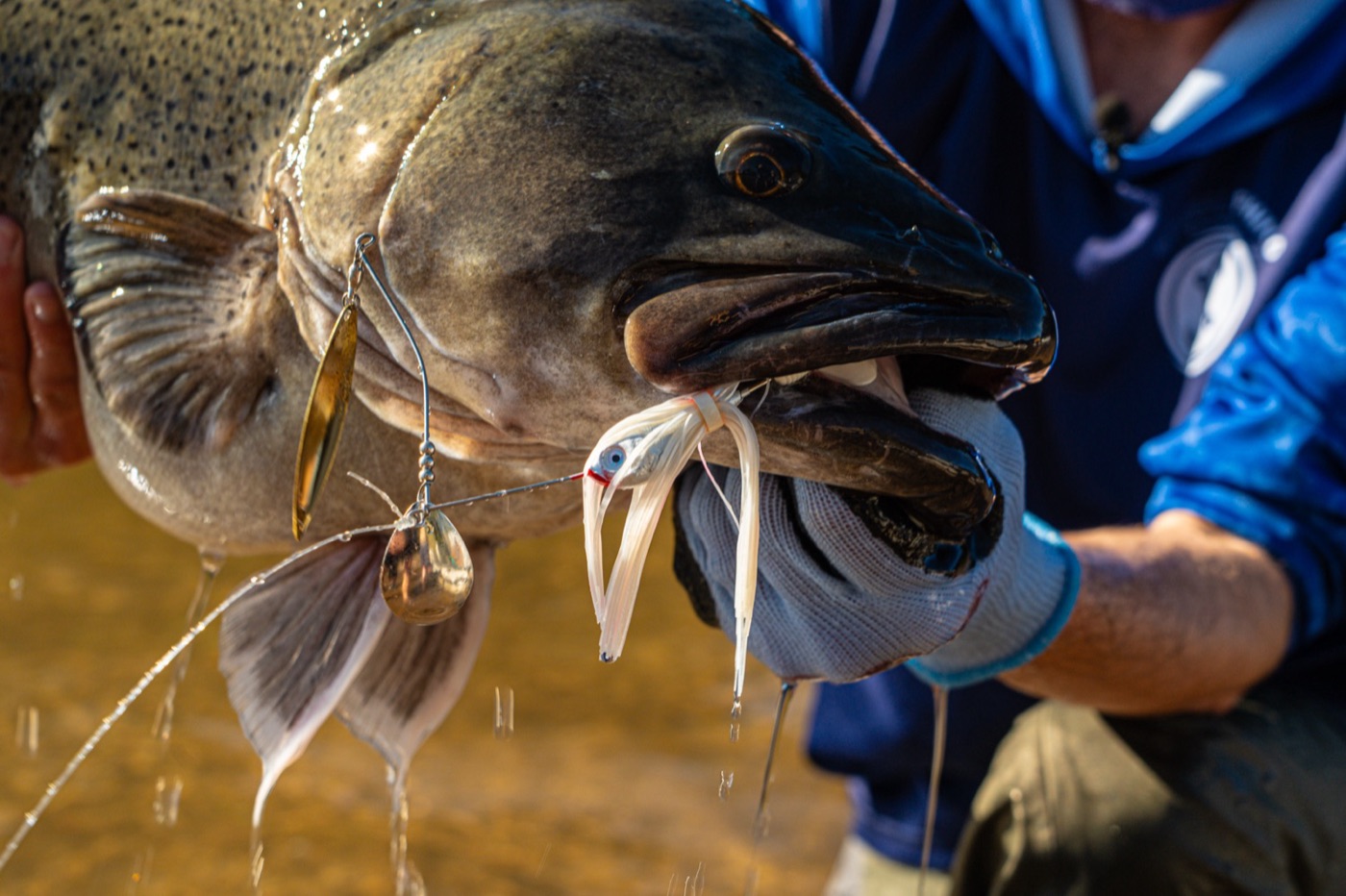 Social Fishing still 20