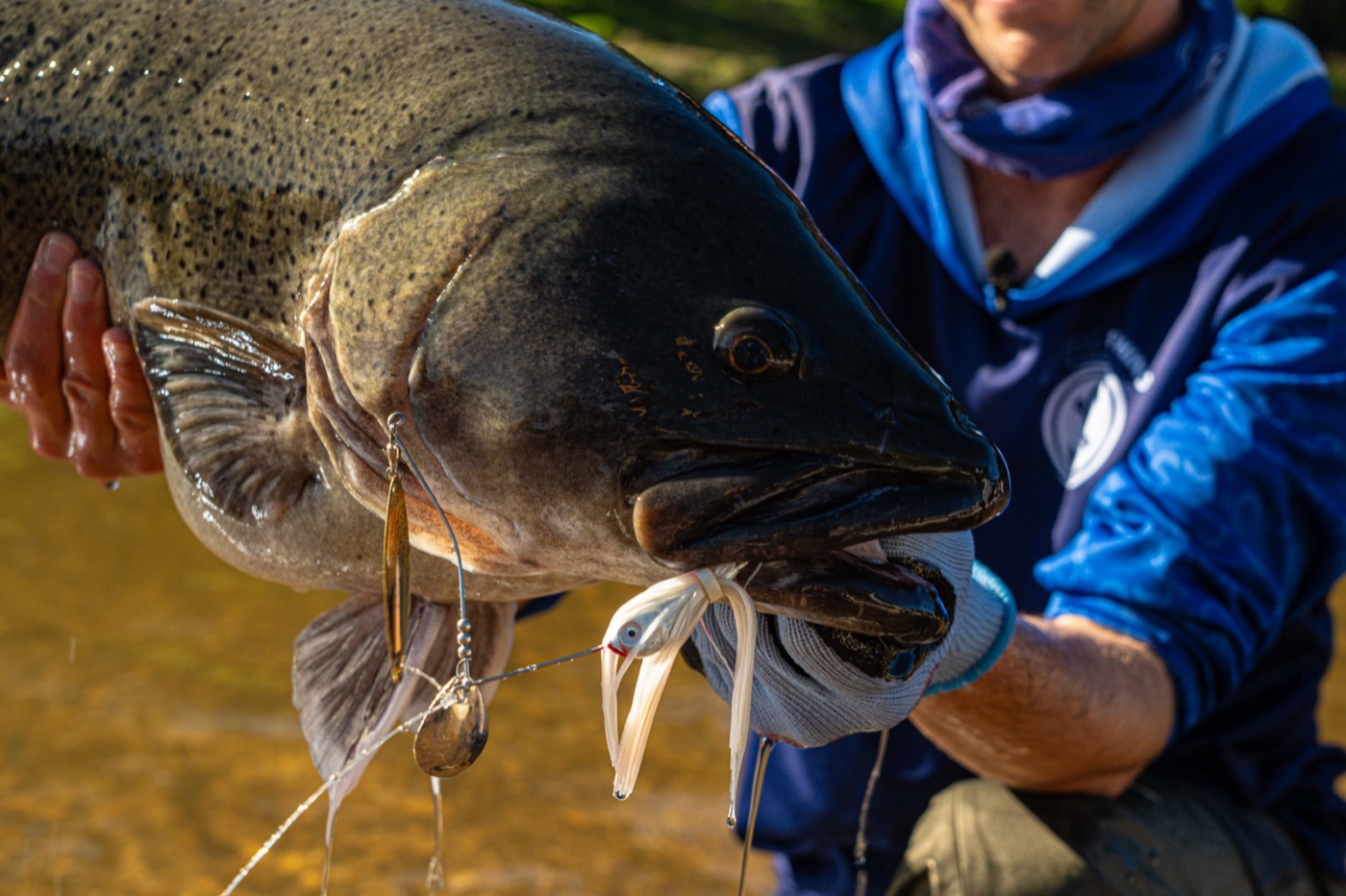 Social Fishing still 21