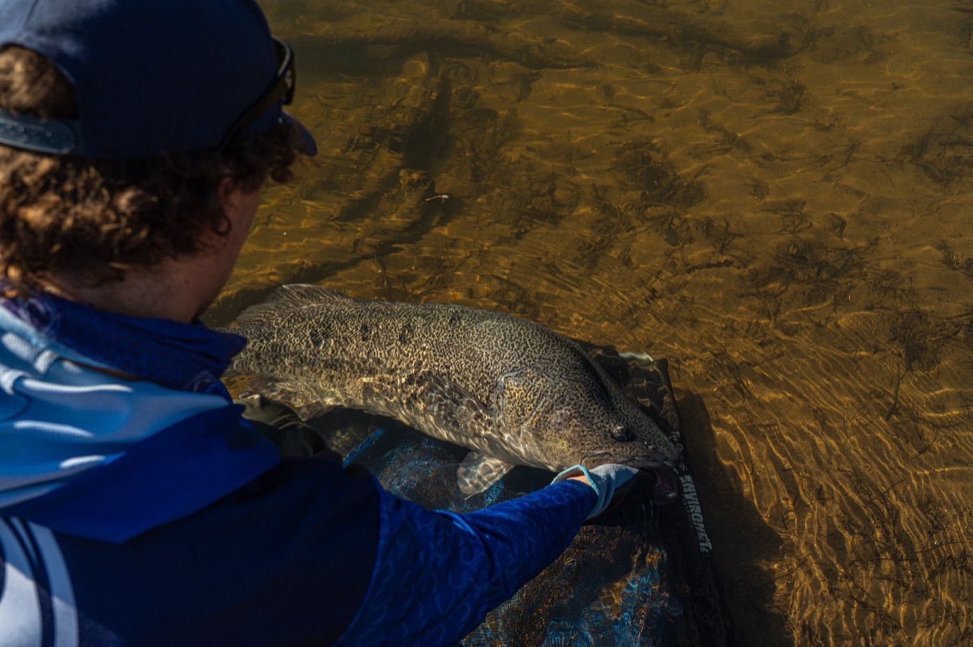 Social Fishing still 28