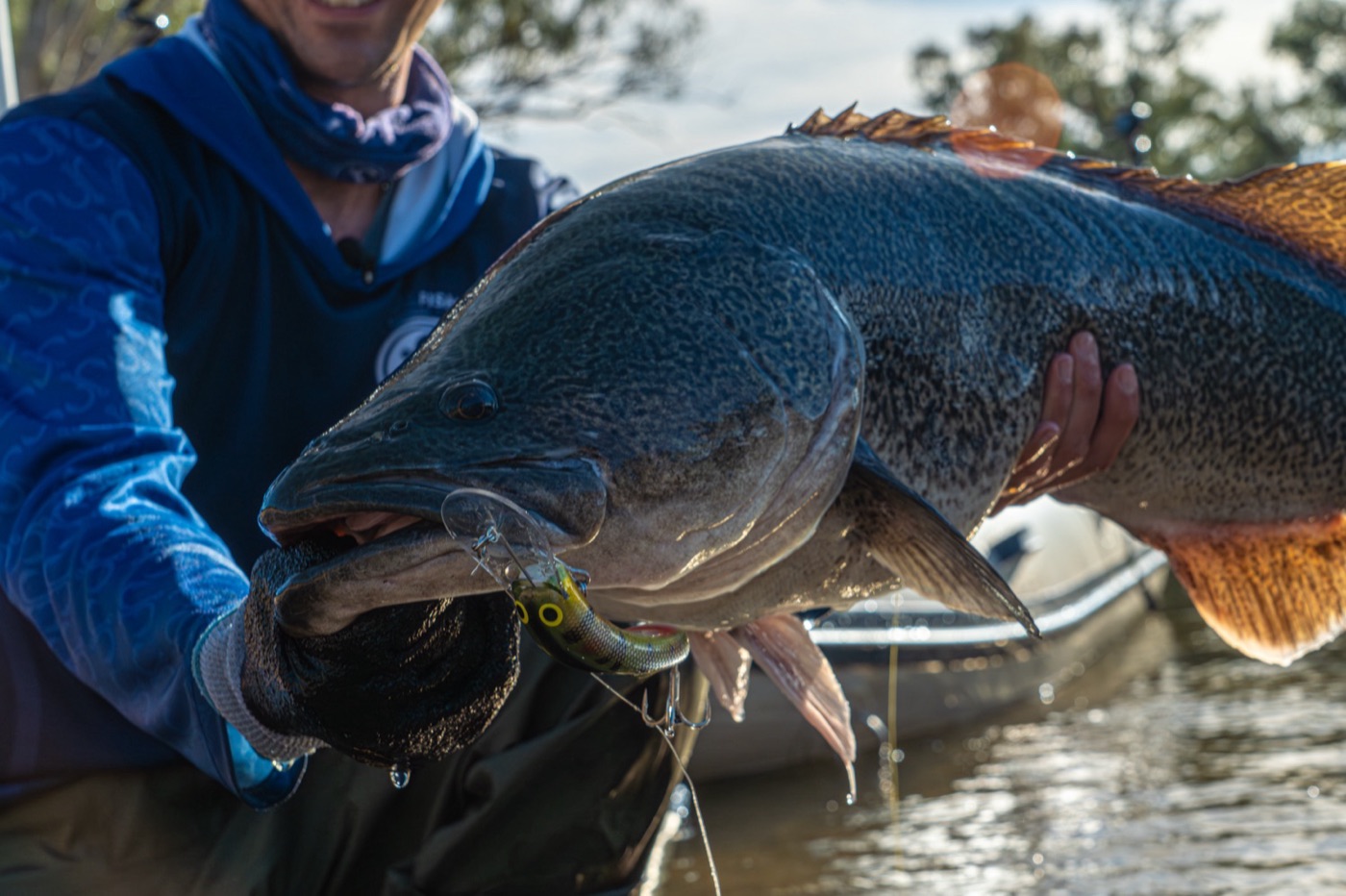 Social Fishing still 30
