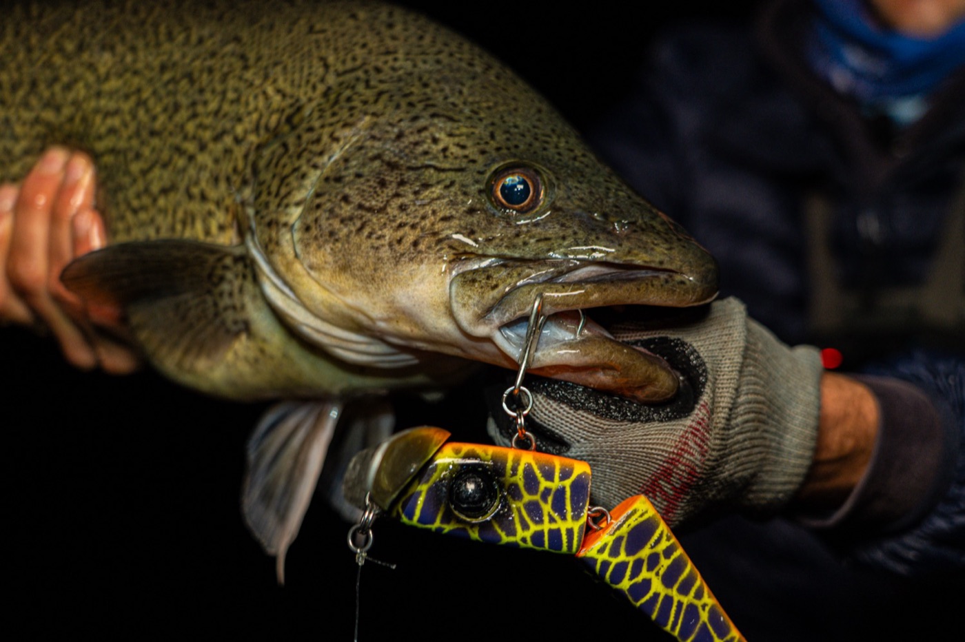 Social Fishing still 37