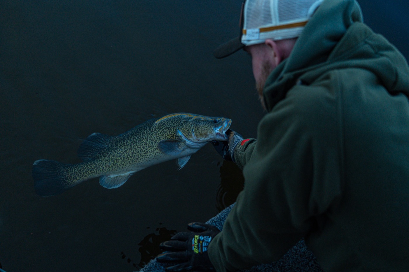 Social Fishing still 52