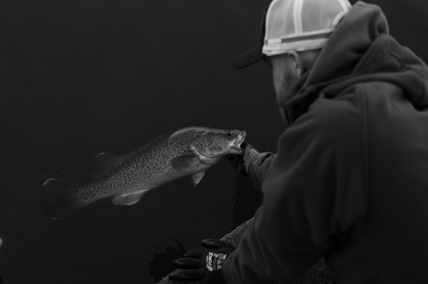 Social Fishing still 54