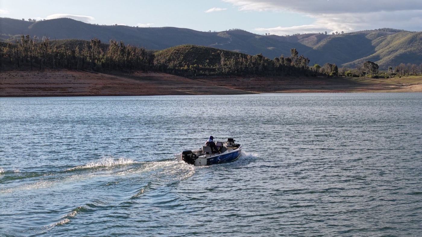 Suzuki Marine still 1